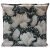 Gypsophila