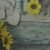 Girasole Love