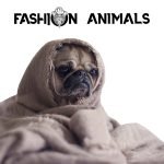 Ultra Plaid per Animali Domestici Cani Gatti