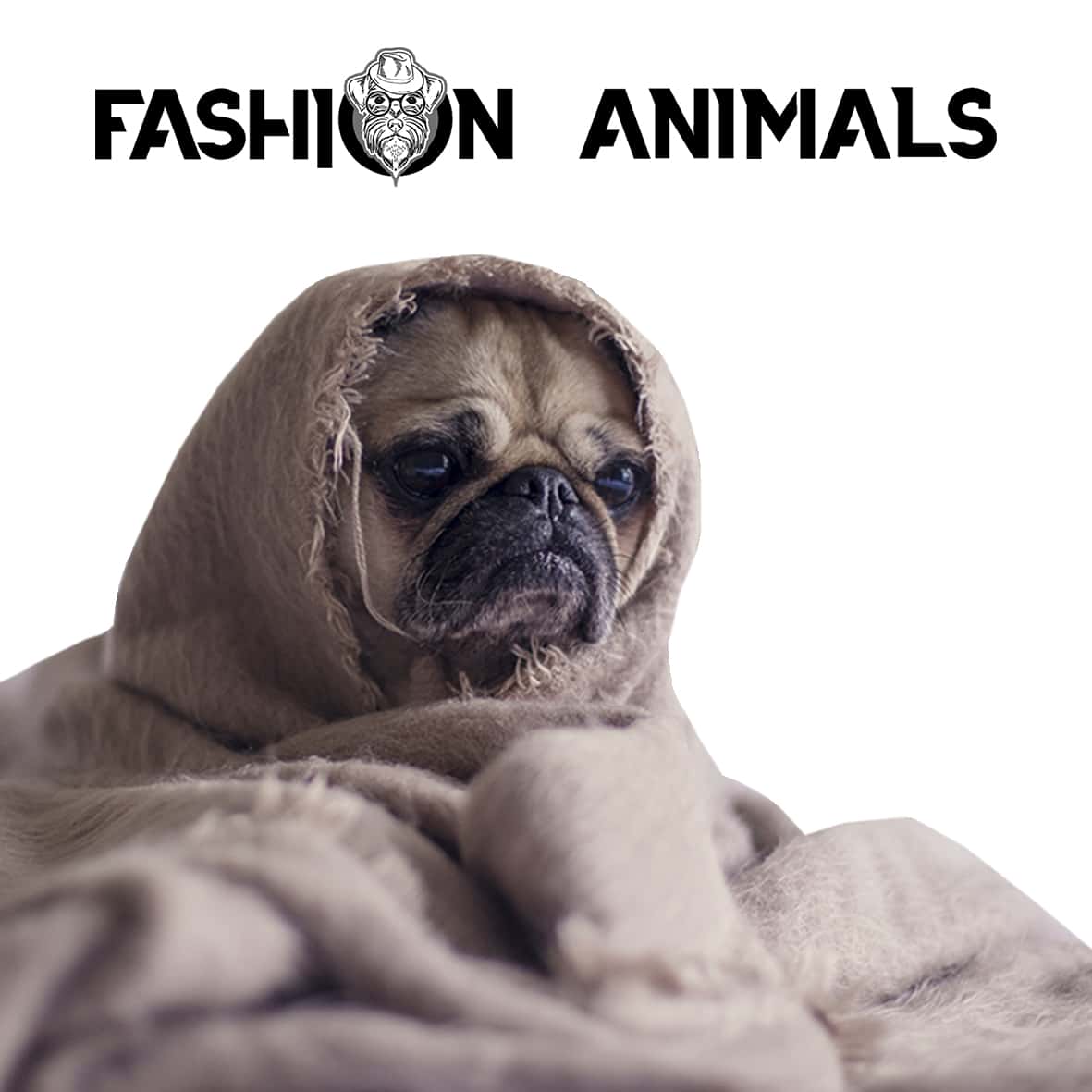 Plaid per Animali Domestici Cani e Gatti